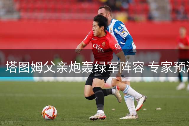 塔图姆父亲炮轰绿军阵容 专家预测新赛季48胜