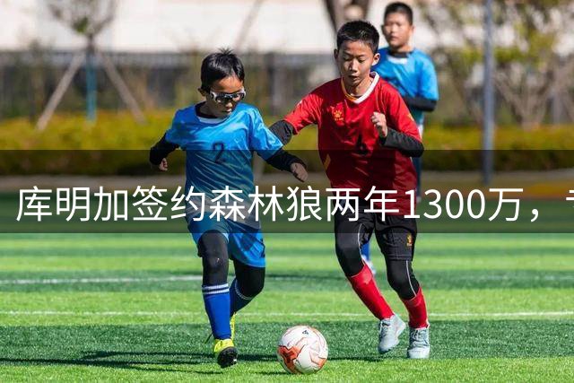 库明加签约森林狼两年1300万，专家称双赢有望