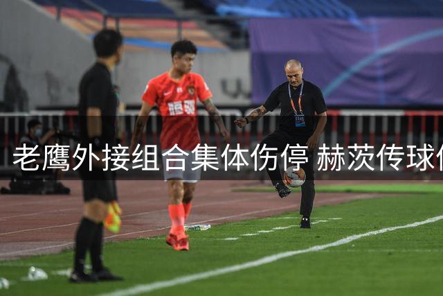 老鹰外接组合集体伤停 赫茨传球体系遭遇磨合阵痛