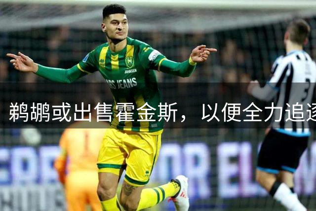 鹈鹕或出售霍金斯，以便全力追逐马瑟林